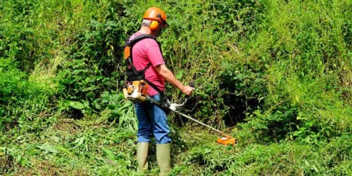 La electricidad gana terreno en el control de malezas en agricultura.jpg